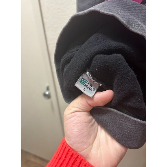 Adelaide's Fort Hooded Sweatshirt Unisex Large Gray Disney Find me at the Park - Picture 4 of 4